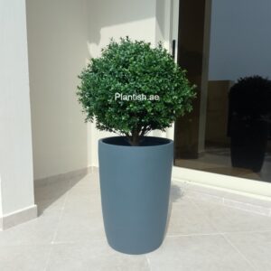artificial-outdoor-plant-buxus-ball-50cm-tall-pot-plantish.ae