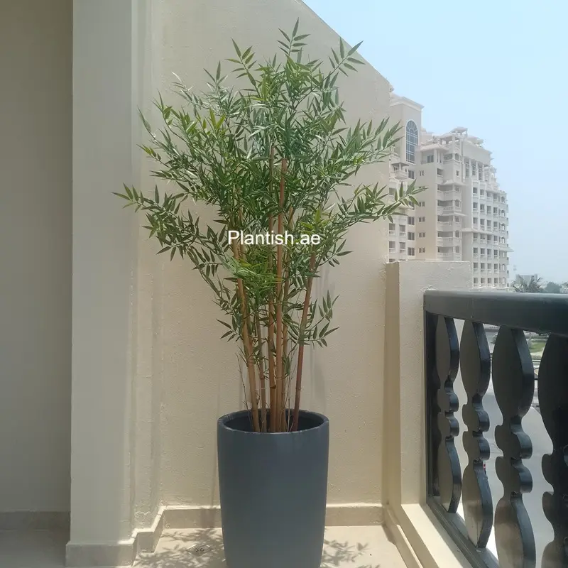 uv-bamboo-150cm-plantish.ae