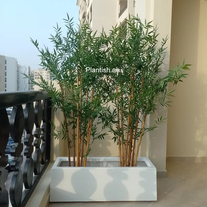 uv-bamboo-privacy-150cm-plantish.ae