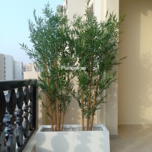 uv-bamboo-privacy-180cm-plantish.ae