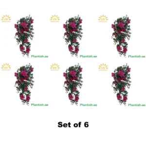 uv-bougainvillea