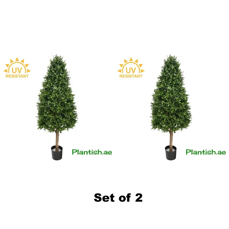 uv-cone-topiary-boxwood