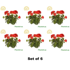 uv-geranium