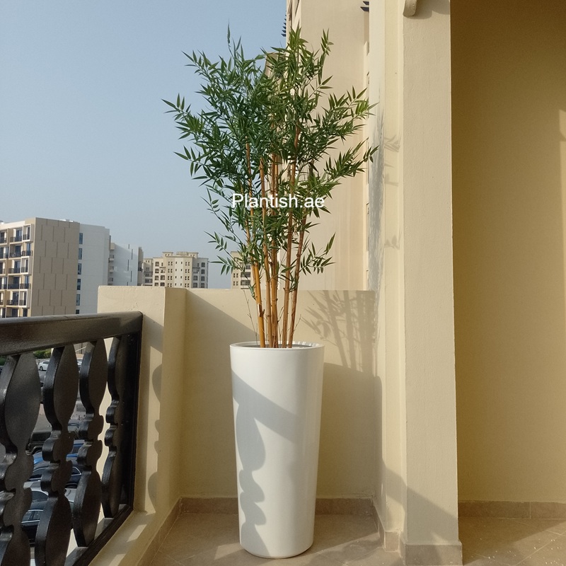 uv-protected-bamboo-150cm-plantish.ae